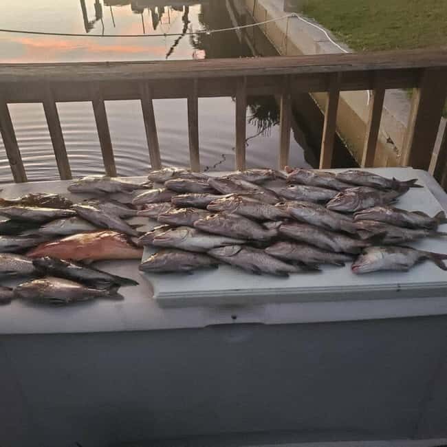 Tarpon Springs: Private Guided Gulf of Mexico Fishing Tour - An In-Depth Look at the Tarpon Springs Gulf of Mexico Fishing Tour