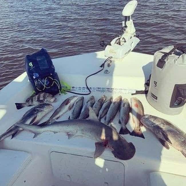 Tarpon Springs: Private Guided Gulf of Mexico Fishing Tour - Final Thoughts