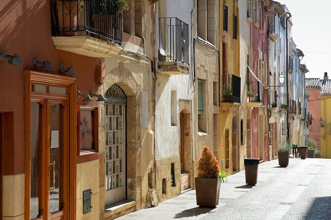 Tarragona Gems Half-Day Private Tour - Tarragona Gems Half-Day Private Tour: A Deep Dive into Roman and Gothic Splendors