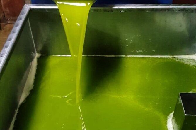 Tarragona: History & Olive Oil tasting from Barcelona - An Honest Look at the Tarragona: History & Olive Oil Tasting Tour