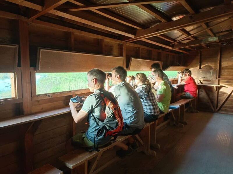 Tarragona: Southern Delta Birdwatching Private Tour - A Closer Look at the Tour Itinerary