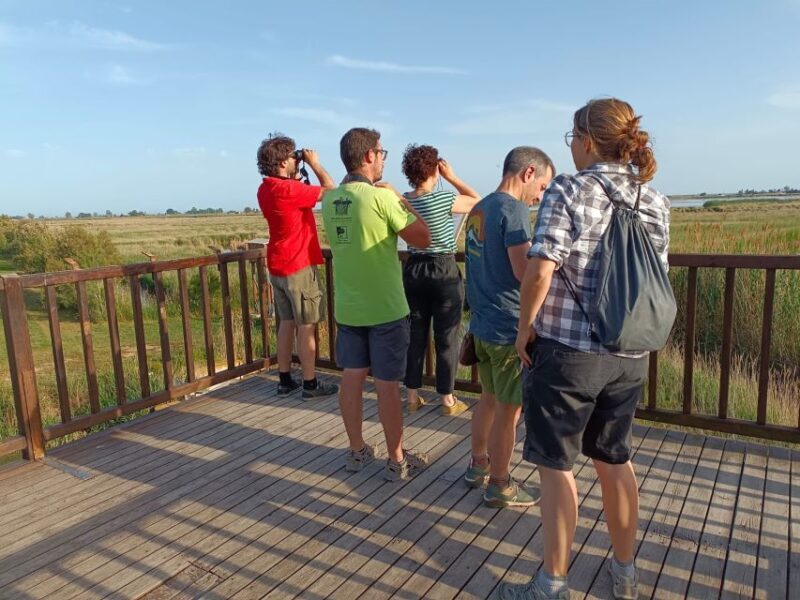Tarragona: Southern Delta Birdwatching Private Tour - FAQs