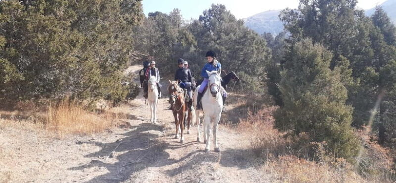 Tashkent: 3-Day Horseback Riding Tour in Chimgan Mountains - Experience Overview