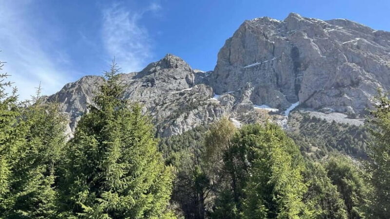 Tashkent Mountain tour - Exploring the Tashkent Mountain Tour in Detail