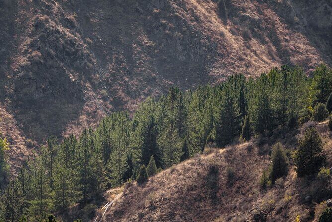 Tashkent Tour at Amirsoy, Chimgan Mountains and Charvak lake - Who Will Enjoy This Tour?