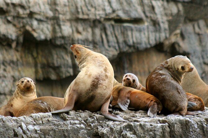 Tasman Island Cruises and Port Arthur Historic Site Day Tour from Hobart - Who Should Consider This Tour?