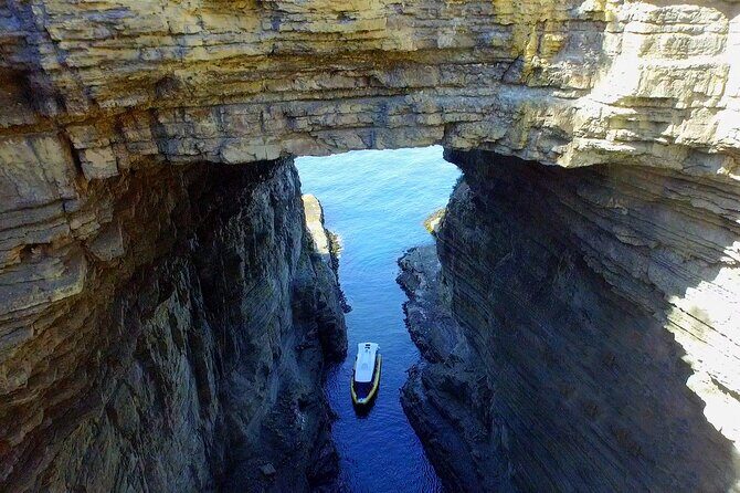 Tasman Island Cruises Day Tour from Hobart - Exploring Tasmania’s Coastline: The Tasman Island Cruises Day Tour from Hobart