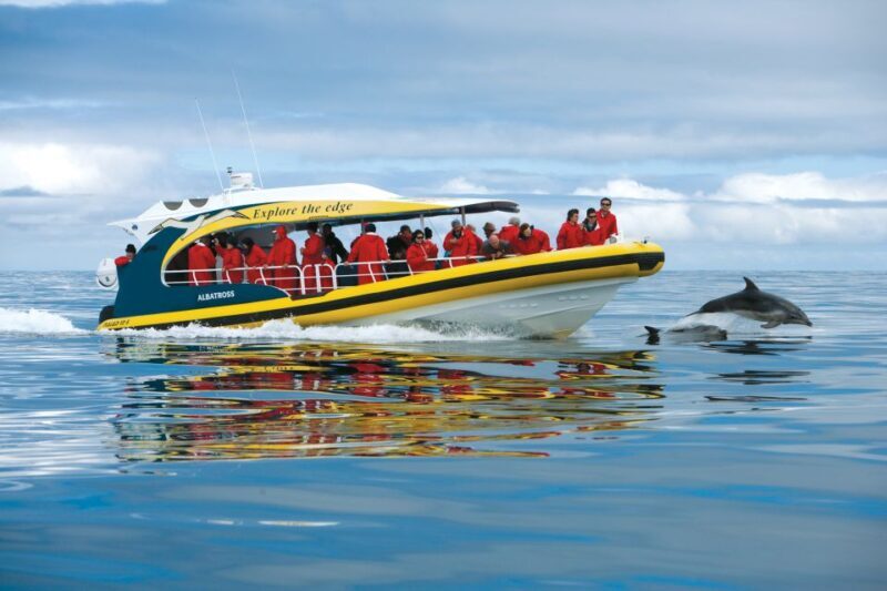 Tasman Peninsula Day Trip with Cruise & Devils from Hobart - The Practicalities: What You Need to Know