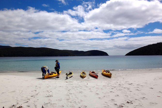 Tasman Peninsula full day kayaking tour - Frequently Asked Questions