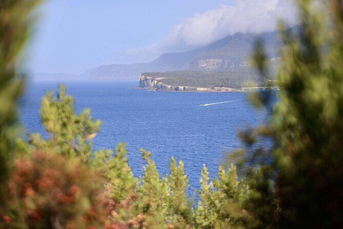 Tasman Peninsula Small-Group Guided Tour From Hobart - Detailed Breakdown of the Itinerary