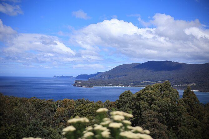 Tasman Peninsula Small-Group Guided Tour From Hobart - Who Will Love This Tour?