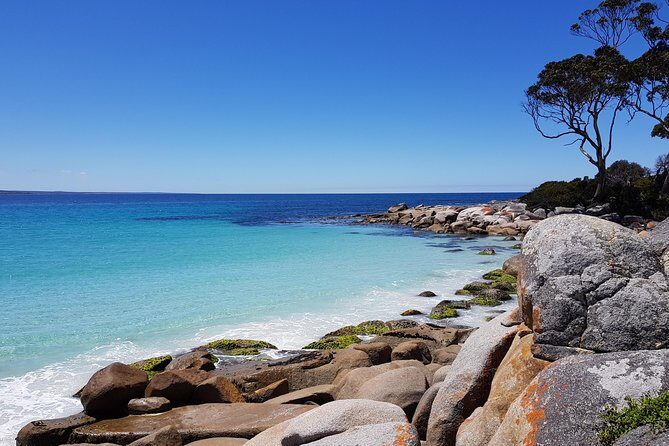Tasmania 5 Day East Coast Tour - A Thorough Look at the Tasmania 5 Day East Coast Tour
