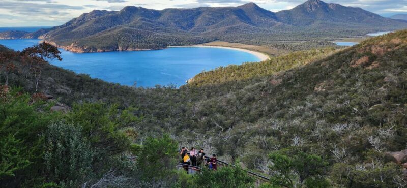 Tasmania: 6-Day Comfort Tour for Wilderness and Wildlife - Key Points