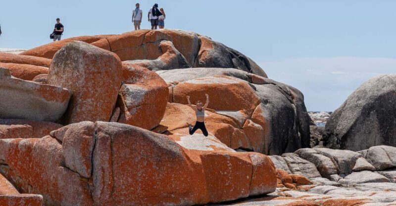 Tasmania: 7-Day West to East Tour - In-Depth Review of Tasmanias 7-Day West to East Tour