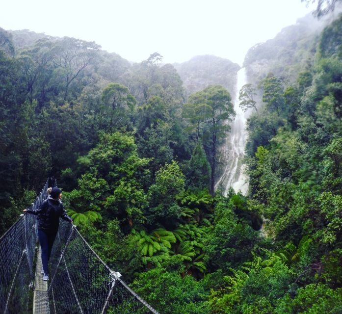 Tasmania: Wilderness and Wildlife Guided 6-Day Tour - Key Points