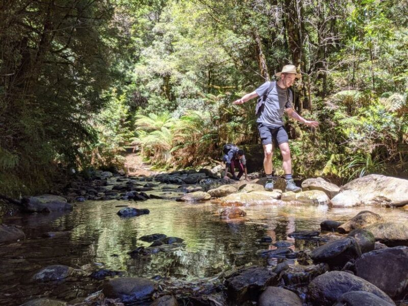 Tasmania: Wilderness and Wildlife Guided 6-Day Tour - Final Thoughts