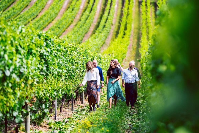 Tasmanian Premium Wine Tour with Tasmanian Cheese Platter - Tasmanian Premium Wine Tour with Tasmanian Cheese Platter