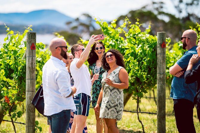 Tasmanian Premium Wine Tour with Tasmanian Cheese Platter - Closing Thoughts