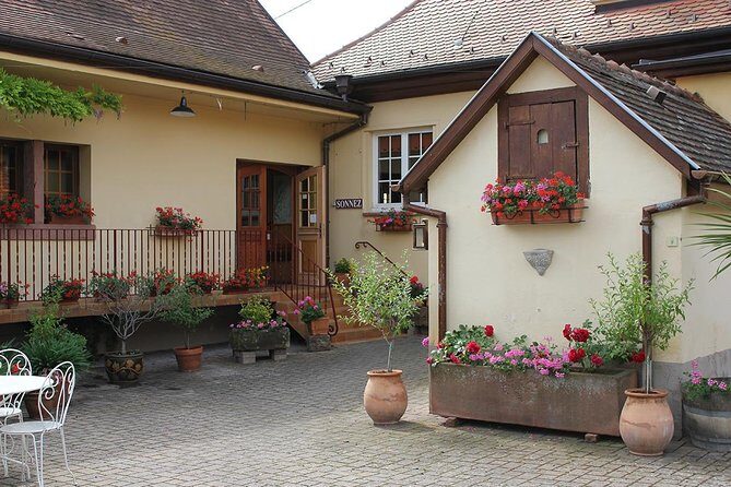 Taste Alsace: Tasting of our Alsace wines - No cellar tour - Key Points