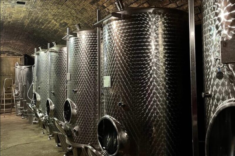 Taste and Tour Small Organic Wineries with a Winemaker - Practical Considerations