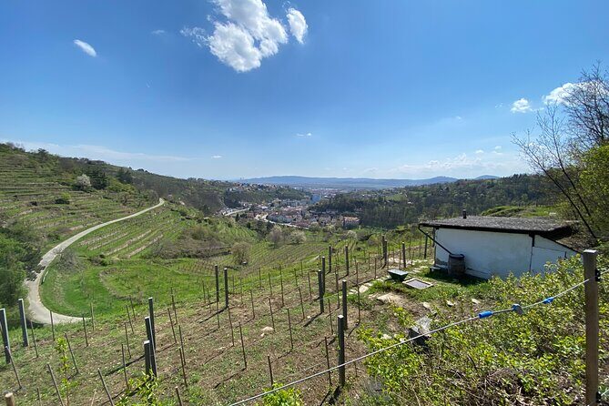 Taste and Tour Small Organic Wineries with a Winemaker - What to Expect at Each Stop