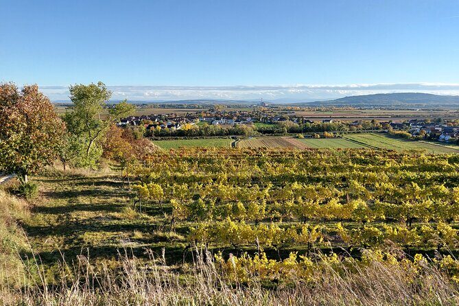 Taste and Tour Small Organic Wineries with a Winemaker - The Value of This Experience