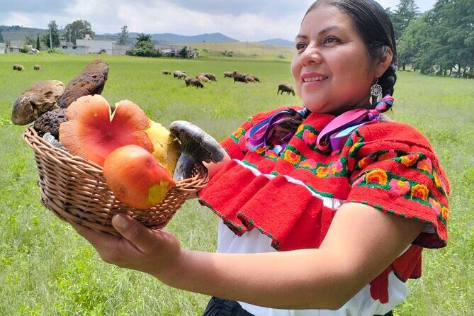 Taste and Tradition Acaxochitlán Culinary Tour from Mexico City - Discover the Taste and Tradition of Acaxochitlán from Mexico City