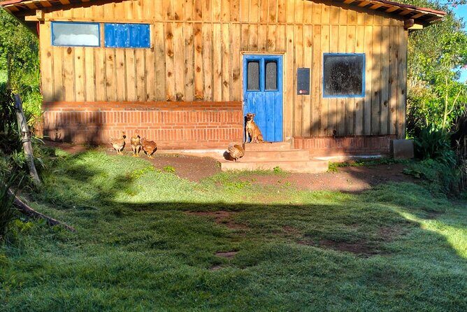 Taste and Tradition Acaxochitlán Culinary Tour from Mexico City - Who Is This Tour Best For?