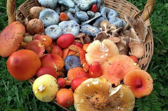 Taste and Tradition Acaxochitlán Culinary Tour from Mexico City - Final Thoughts