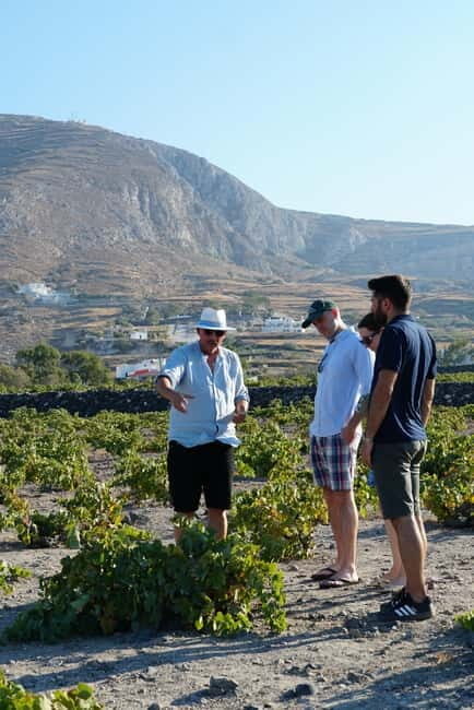 Taste & Create: Santorini Wine & Cooking Experience - Key Points