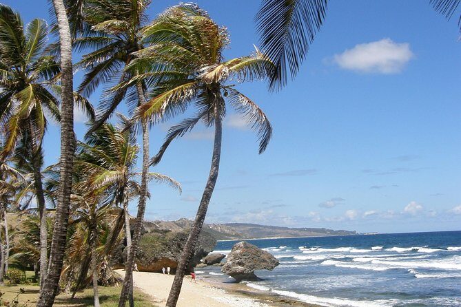 Taste of Barbados Full-Day Sightseeing tour - Taste of Barbados Full-Day Sightseeing Tour: An Authentic Island Experience