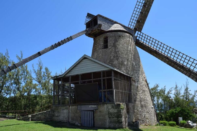 Taste of Barbados - Who Is This Tour Perfect For?