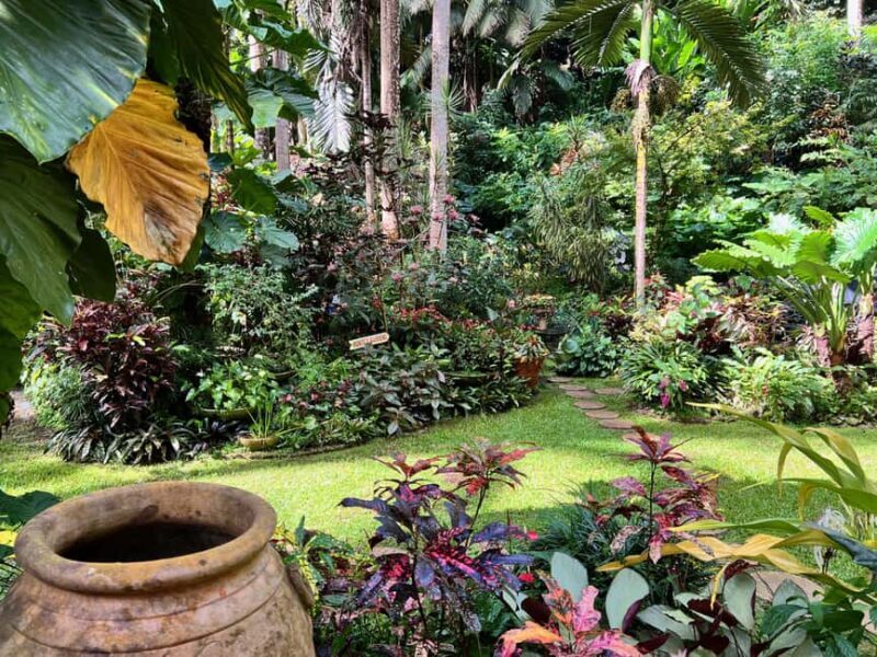 Taste of Barbados - Final Thoughts