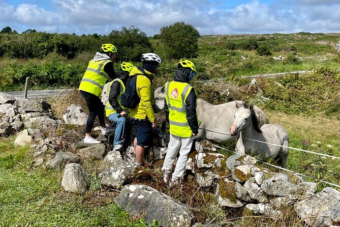 Taste of Connemara Tour by Electric Fat Tyre Bike - Practical Details and What to Expect