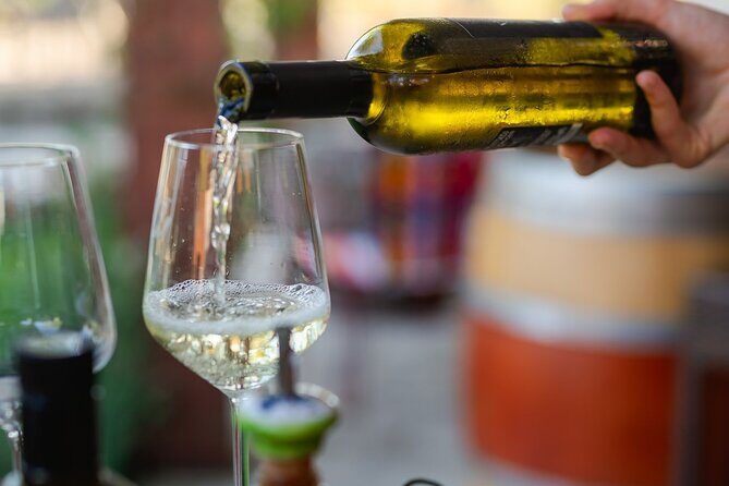 Taste of Istria - wine, brandy, vinegar, local food - The Value of This Experience