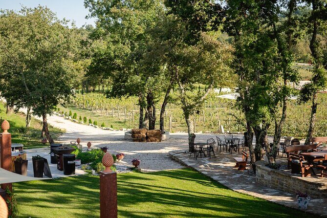 Taste of Istria - wine, brandy, vinegar, local food - Final Thoughts