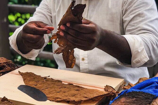 Taste of Mexico: Rolling Cigar & Tequila Experience with transfer - The Sum Up