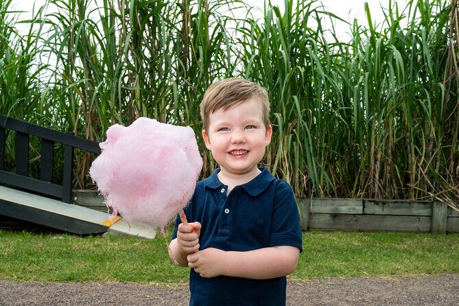 Taste of the Tropics Tour - A Closer Look at the Sugar of Mackay: What to Expect