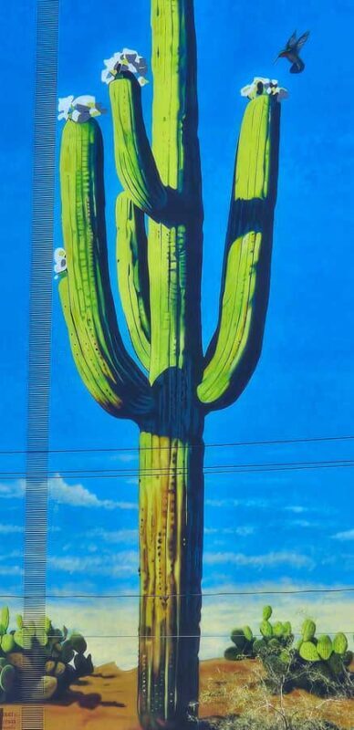 Taste of Tucson: Downtown Walking Food Tour - Exploring Tucson with the Taste of Downtown Walking Food Tour