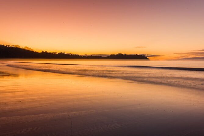 Taste of Waiheke Food and Wine Tour - Who Will Love This Tour?