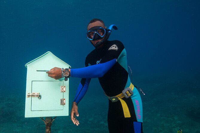 Taste See and Swim Full Day Adventure in Vanuatu - Pricing and Value
