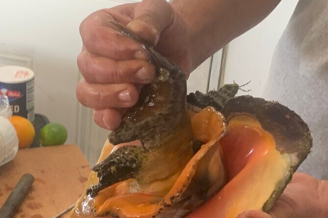 Taste Tour and Capture Nassau Island Experience with Photos - Who Should Consider This Tour?