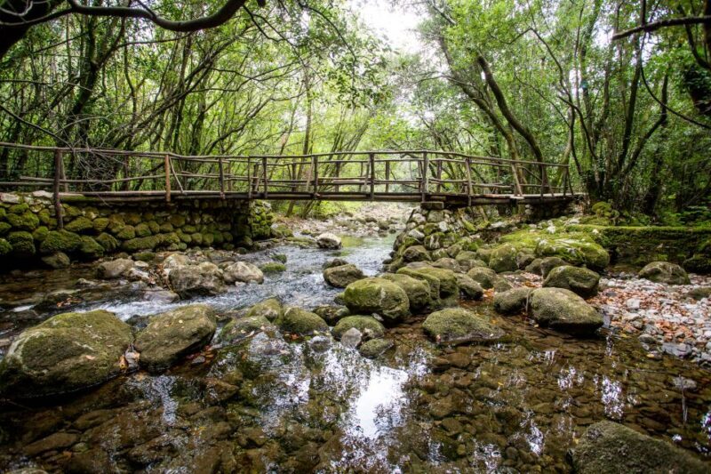 Taste & Tradition of Dubrovnik Countryside - Key Points