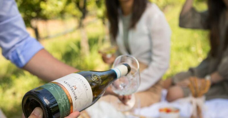Taste with us Bardolino, Chiaretto and Lugana near Verona - A Deep Dive into the Experience