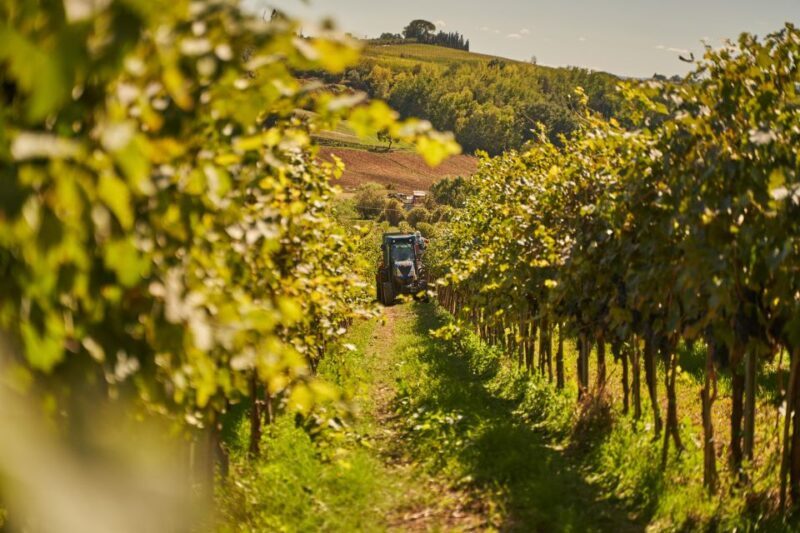 Tasting and Tour Vino Nobile di Montepulciano - Tasting and Tour Vino Nobile di Montepulciano: A Taste of Tuscany’s Heritage