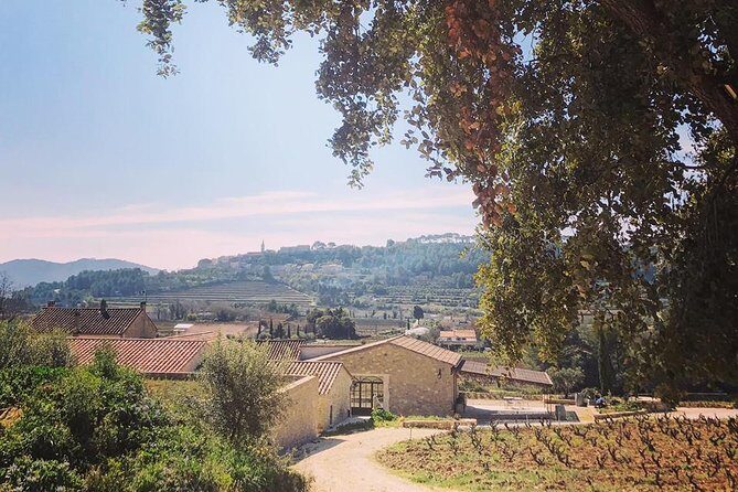 Tasting Bandol Wines & Visit of Cellar (in English) - A Deep Dive into the Wine Tour: What You Can Expect