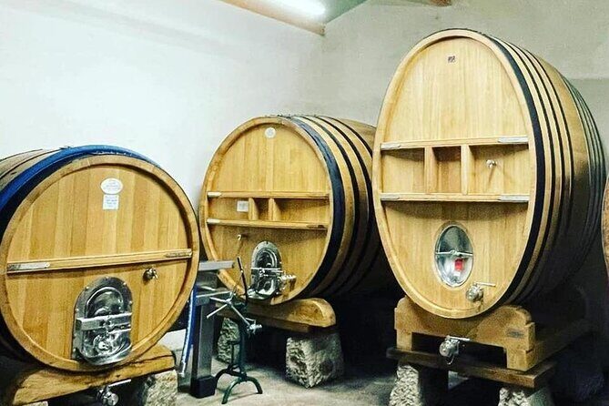 Tasting Bandol Wines & Visit of Cellar (in English) - Visuals and Setting