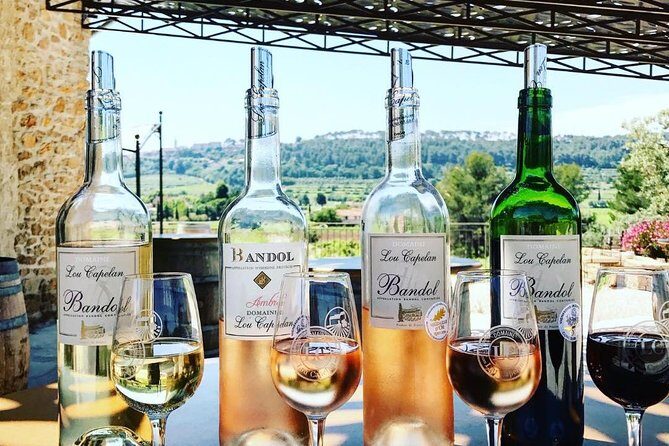 Tasting Bandol Wines & Visit of Cellar (in English) - Who Should Book?