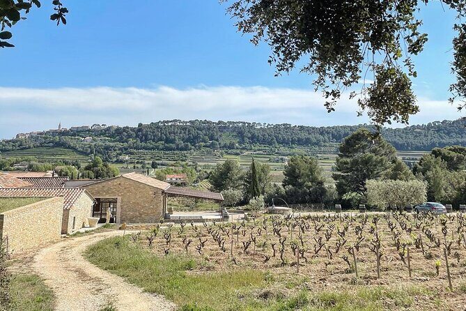 Tasting Bandol Wines & Visit of Cellar (in English) - FAQ
