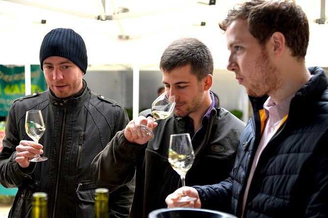 Tasting Chablis Domaine Clotilde Davenne in French - Final Thoughts: The Value of a Small-Scale French Wine Tasting